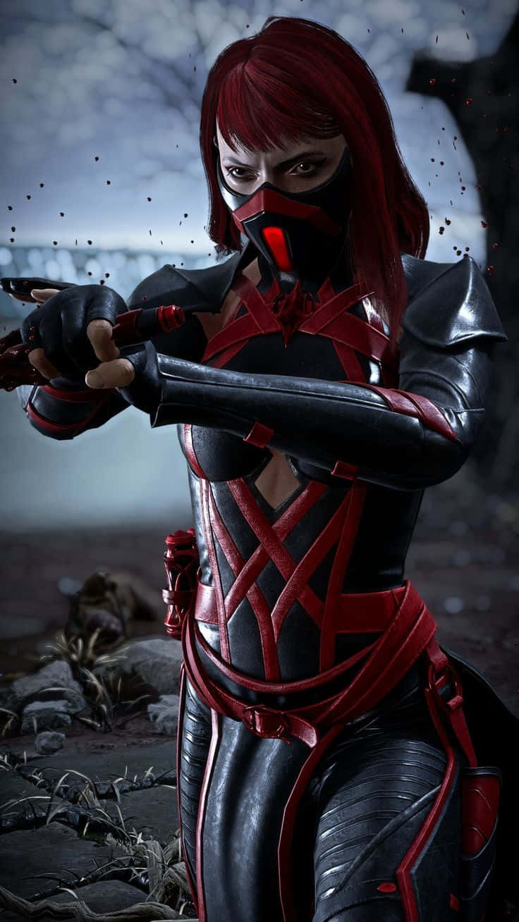 Spectacular Mortal Kombat Cosplays In Action Wallpaper