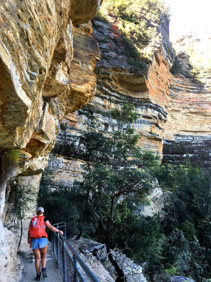 Spectacular View Of Blue Mountains National Park Wallpaper