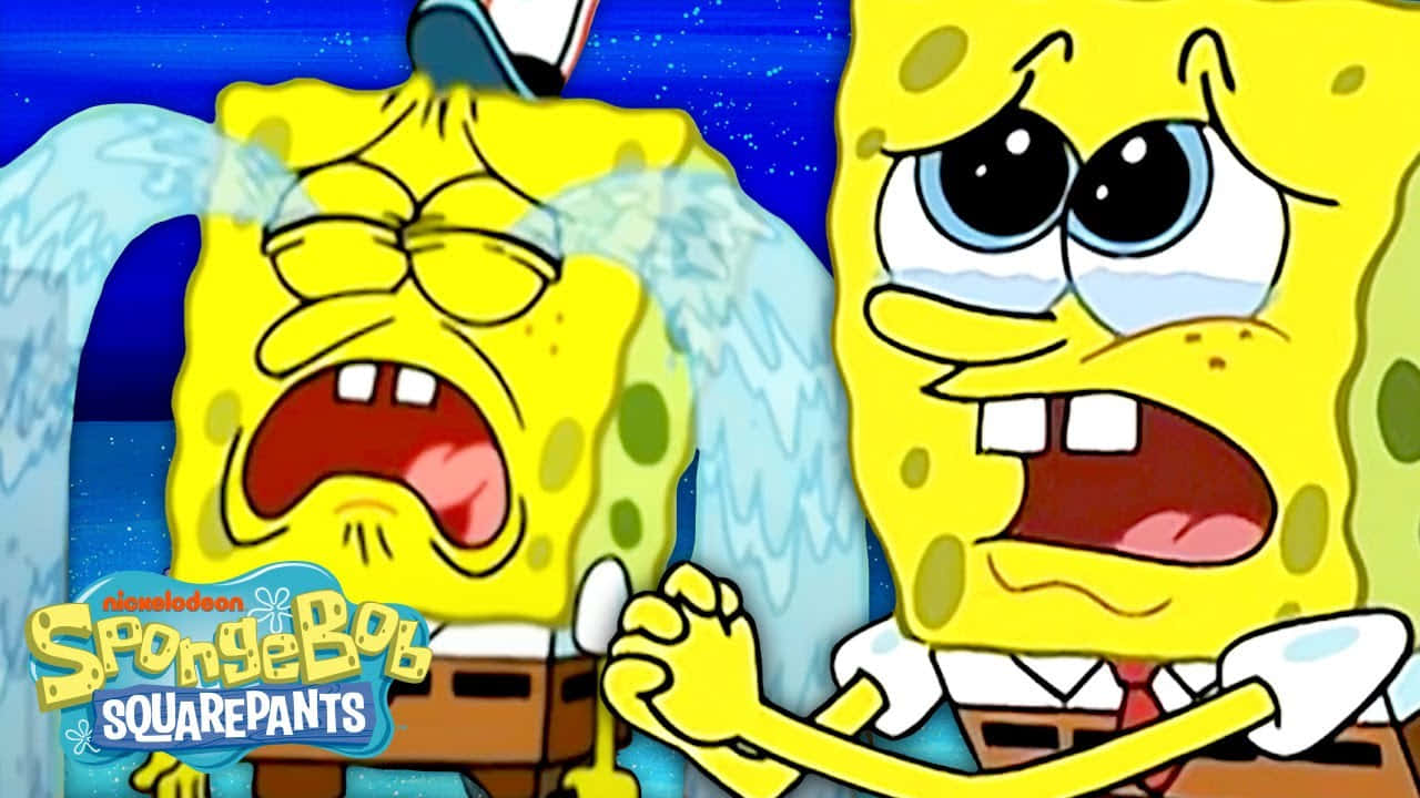 Spongebob Crying And Begging Wallpaper