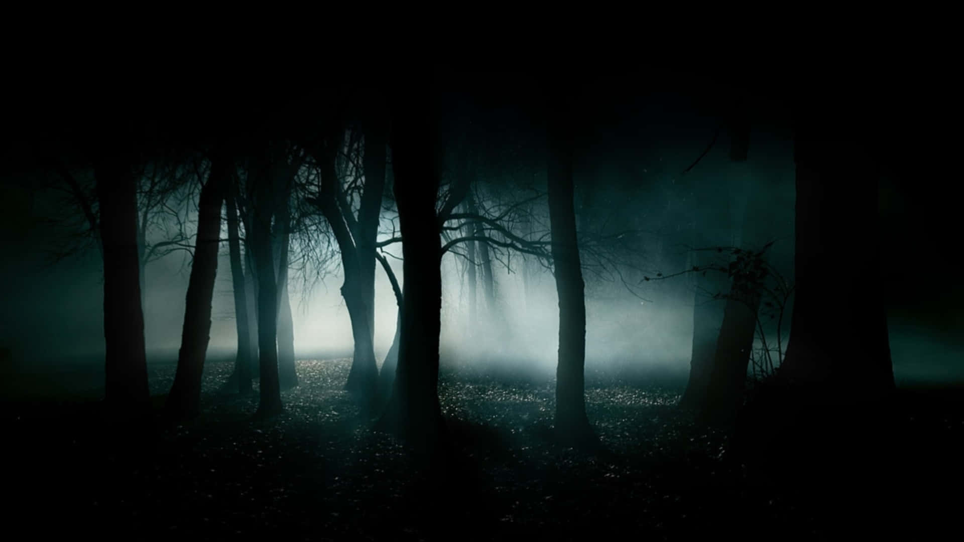 Spooky Shadows Fill The Haunted Forests Wallpaper