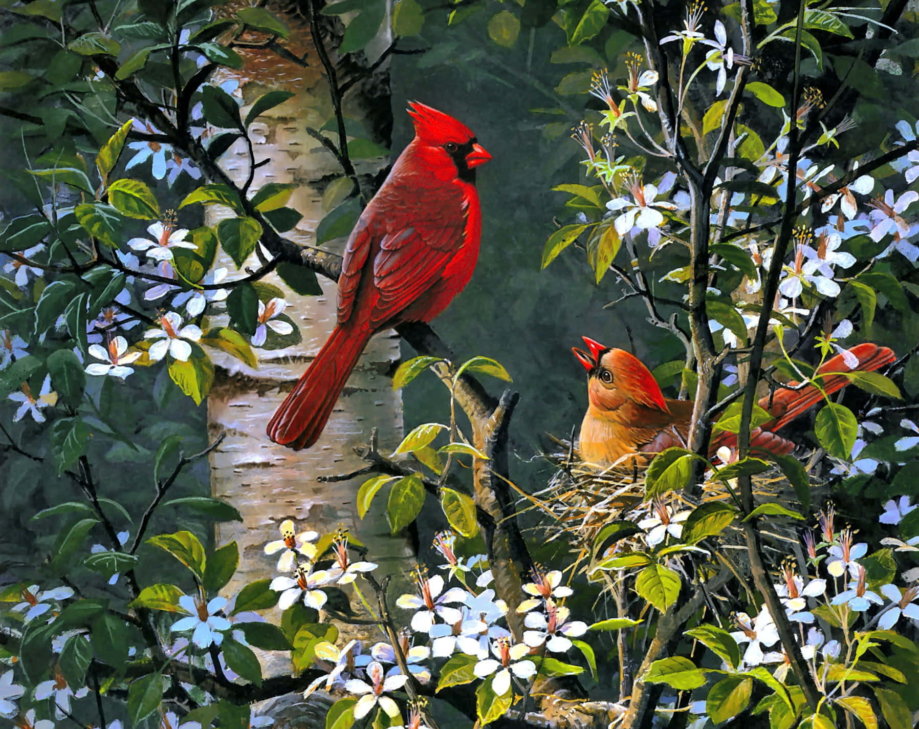 Spring Birds Enjoying Beautiful Blossoms Wallpaper