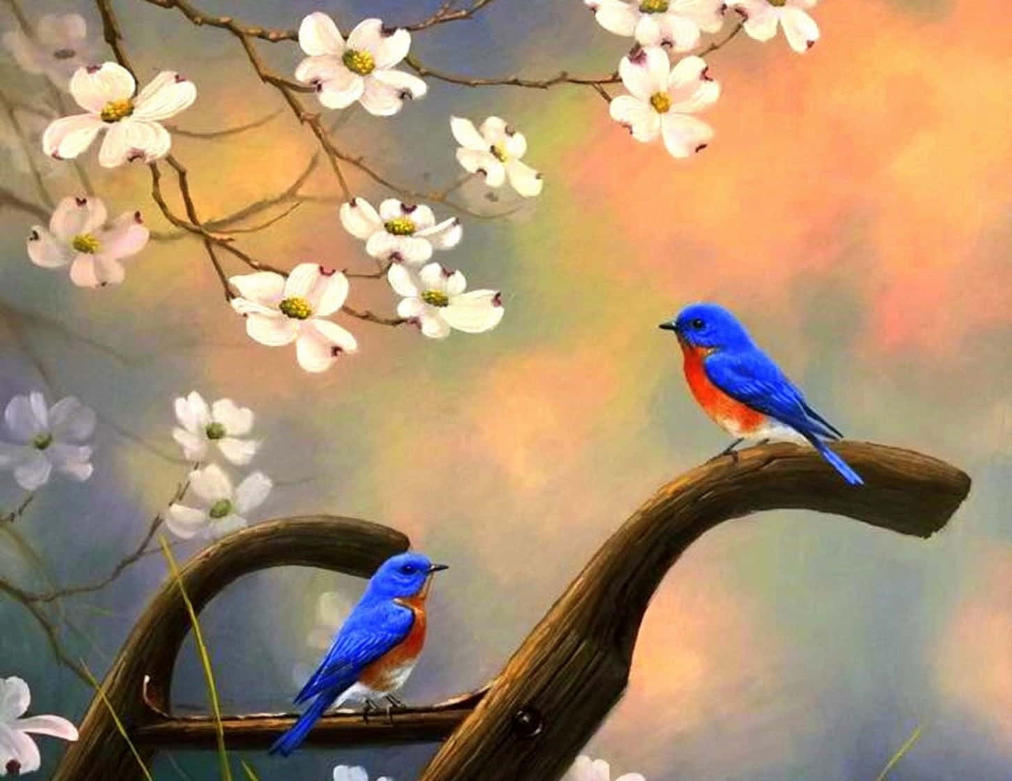 Spring Birds Perched On Blossoming Branches Wallpaper