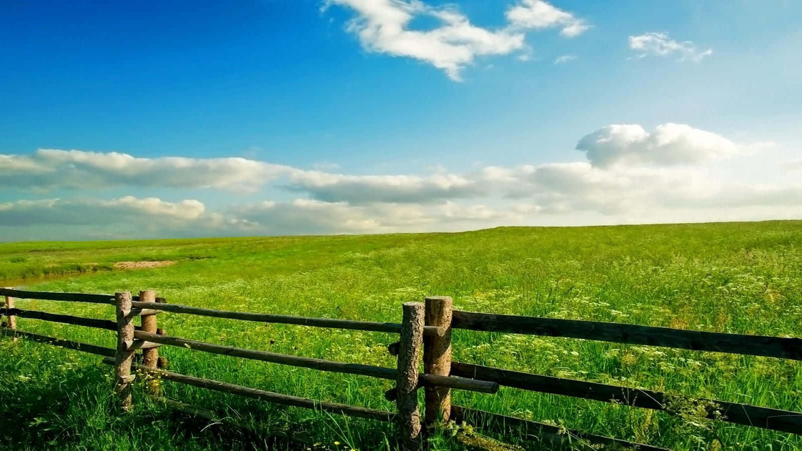 Spring Meadow Landscape Wallpaper