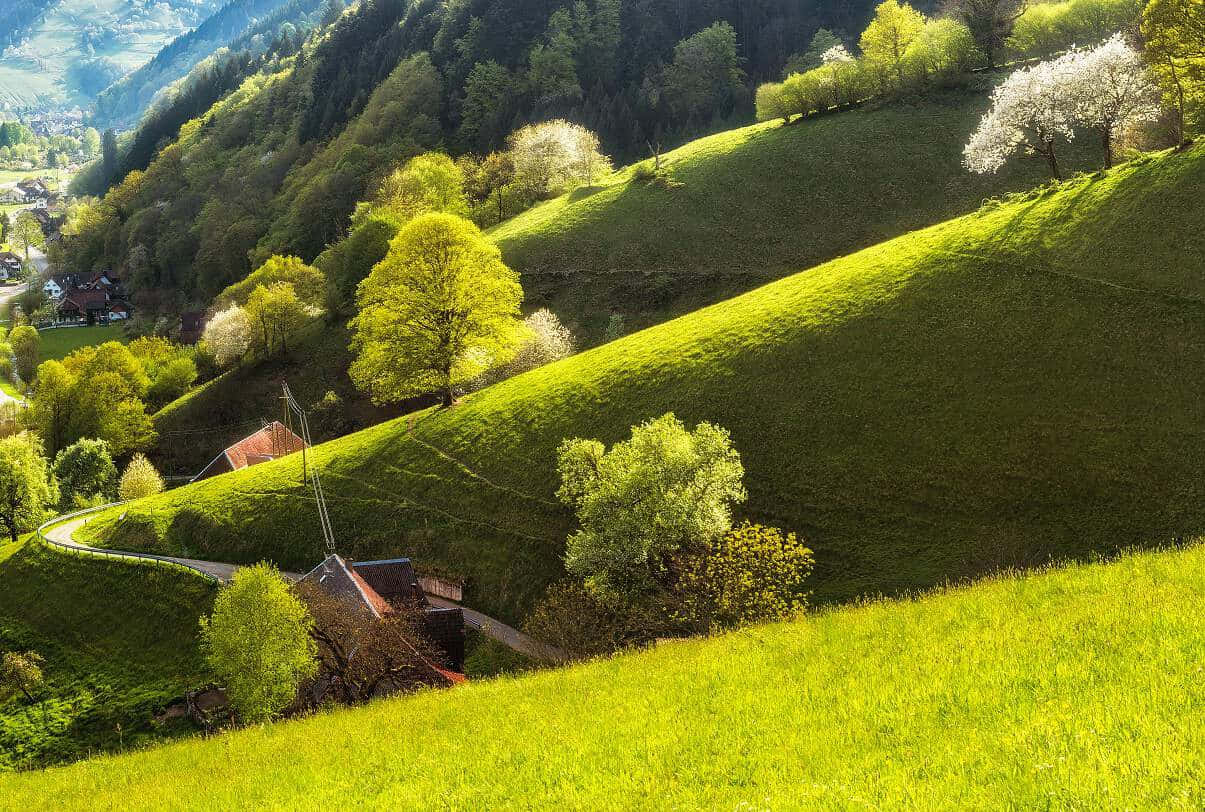 Springtimein Baden Switzerland Hills Wallpaper