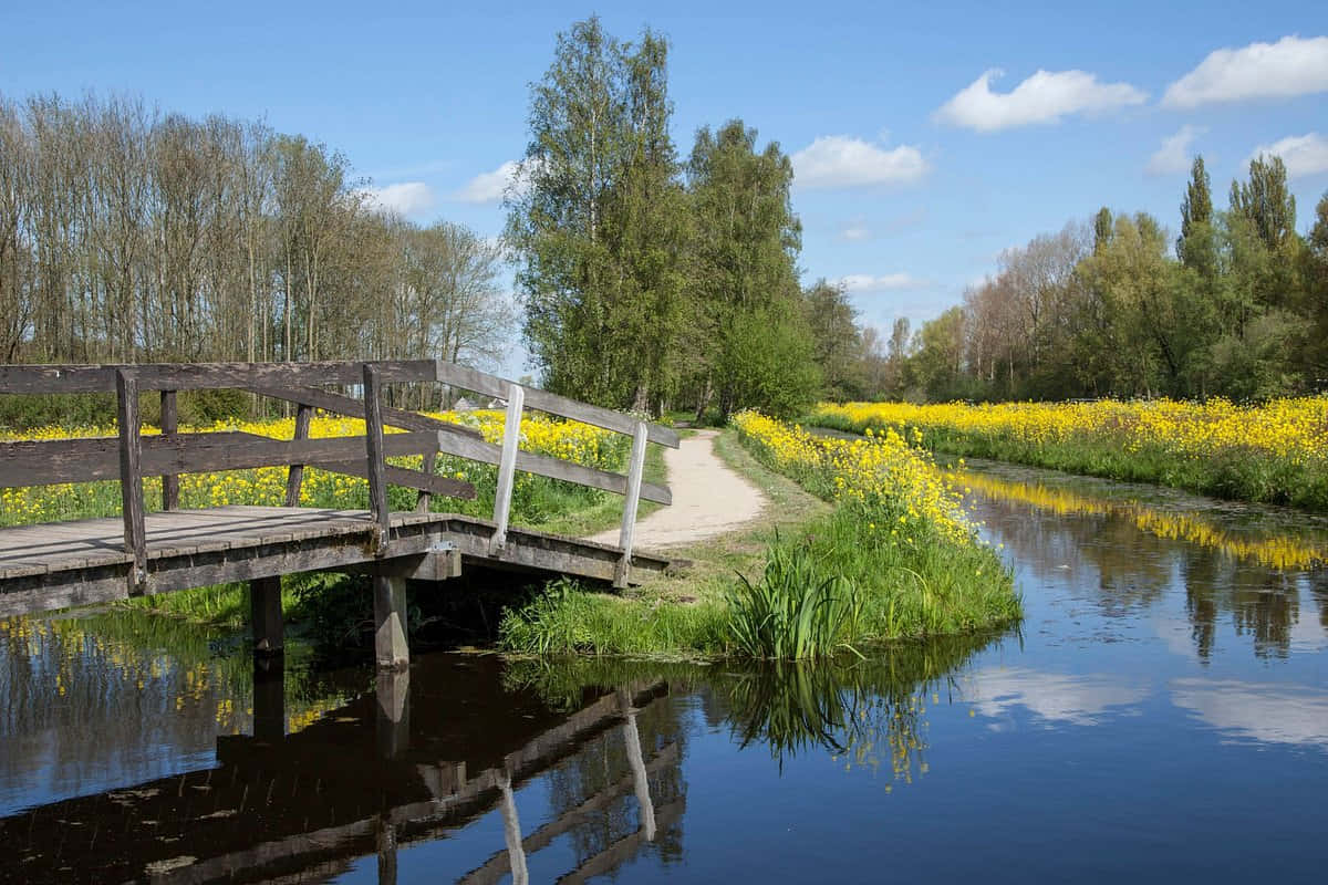 Springtimein Woerden Countryside Wallpaper