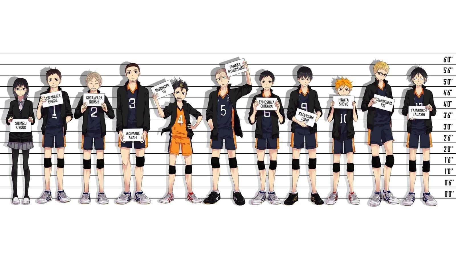 Squad Goals - Haikyuu Captains United Wallpaper