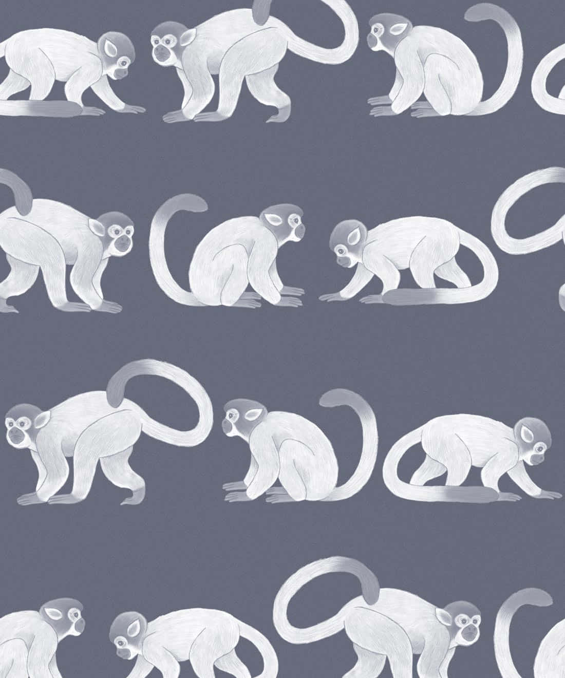 Squirrel_ Monkey_ Pattern_ Grey_ Background Wallpaper