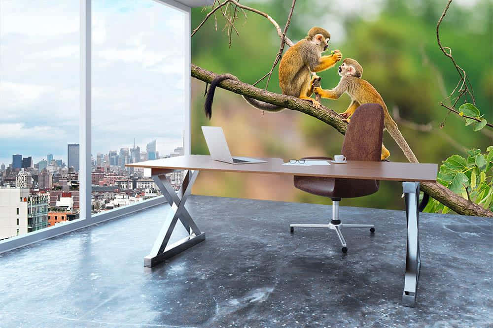 Squirrel Monkeysin Modern Office Wallpaper