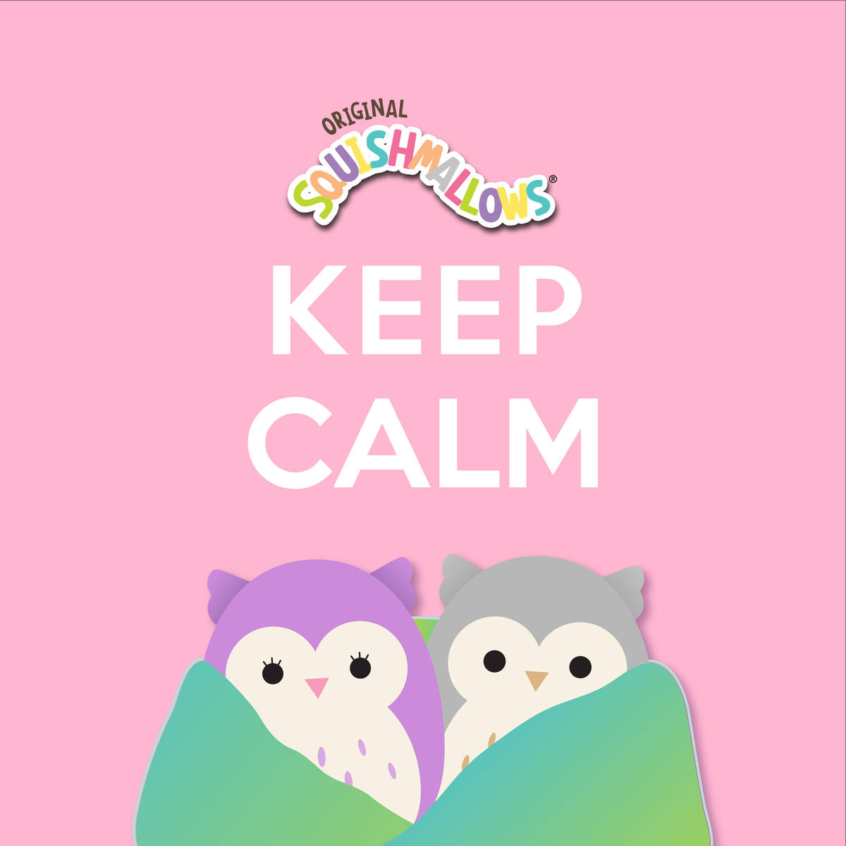 Squishmallows Owl Couple Cover Wallpaper