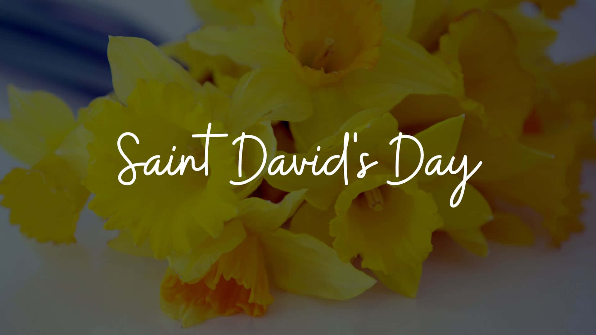 St David's Day Wallpaper