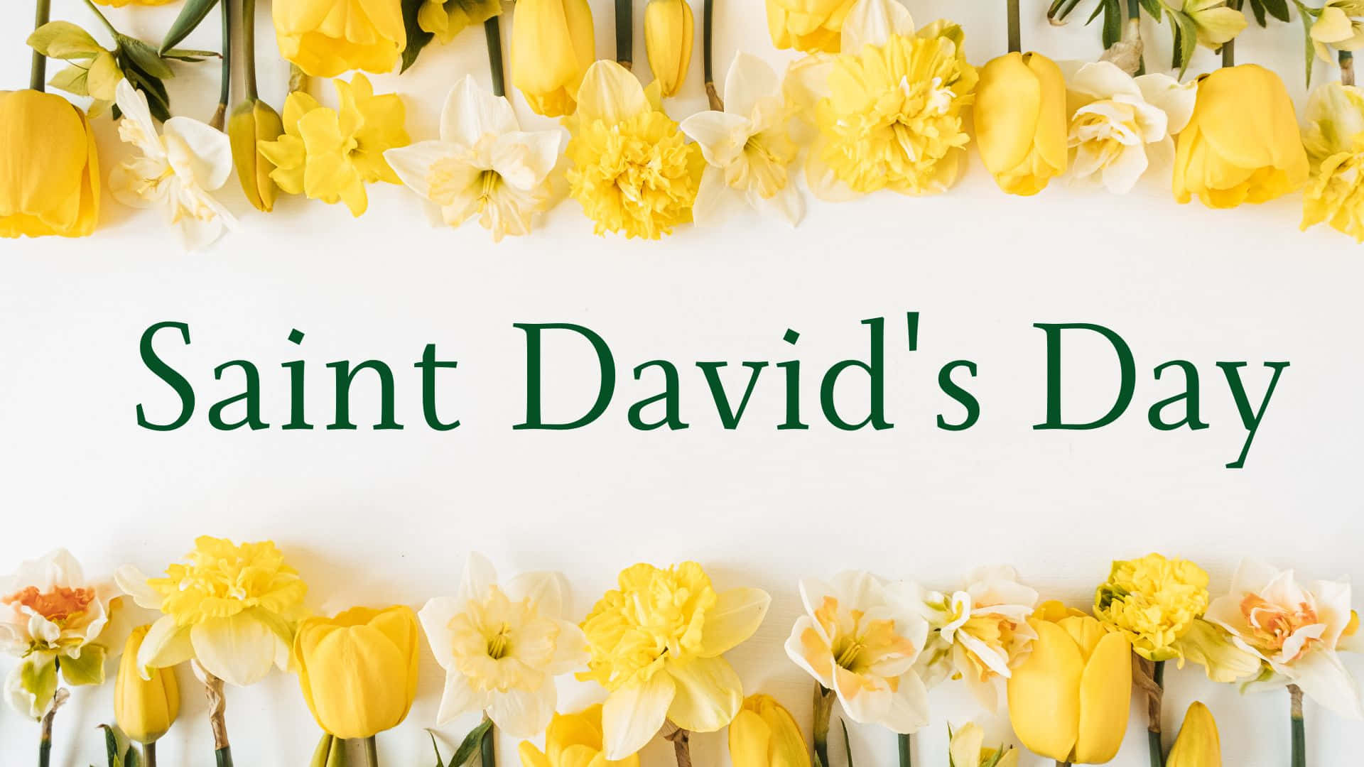 St David's Day Wallpaper