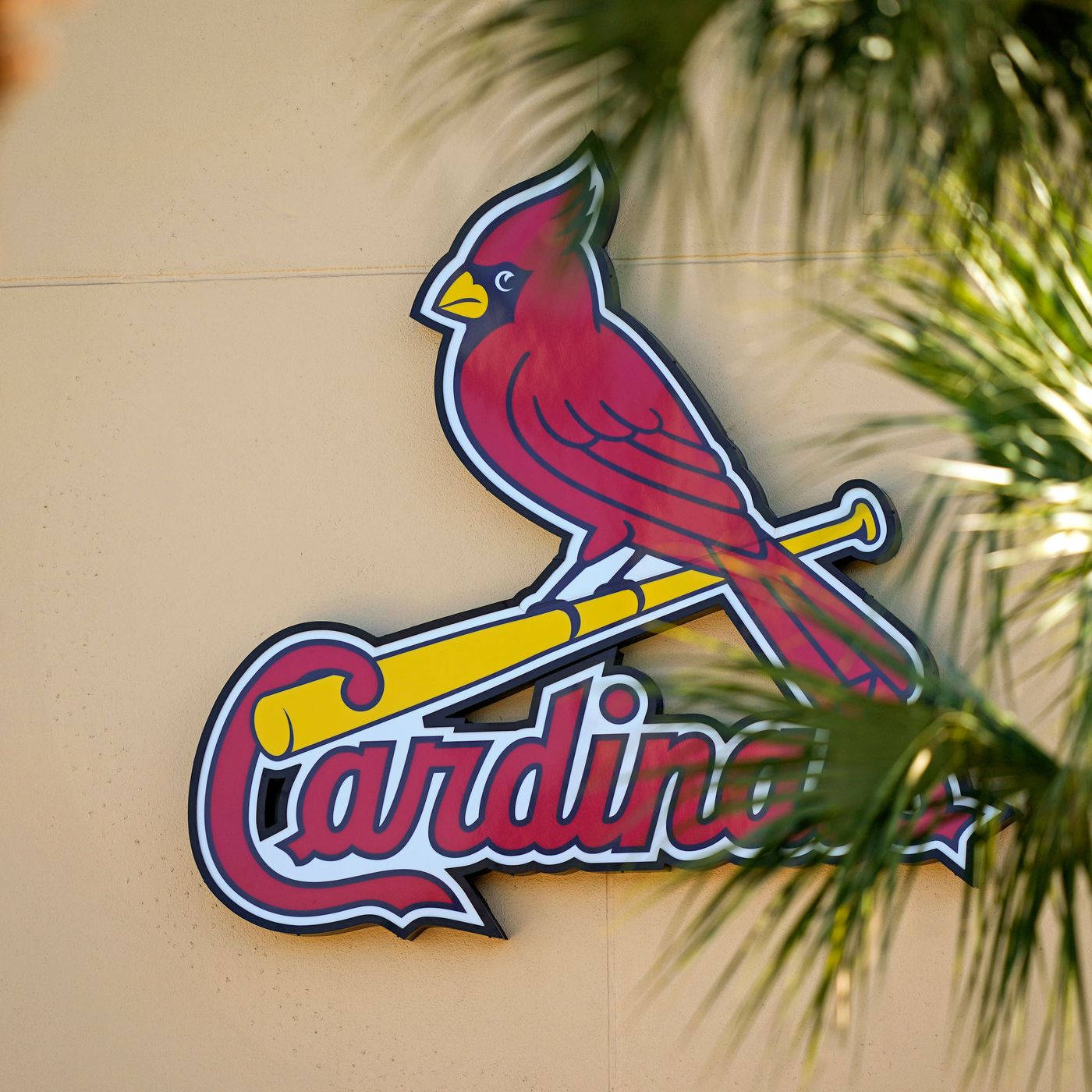 St Louis Cardinals Red Bird Signage Wallpaper