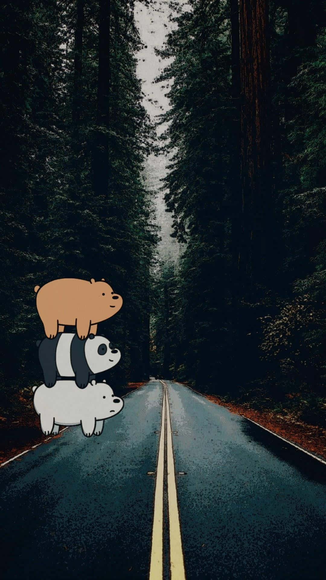 Stacked Bears Forest Road.jpg Wallpaper