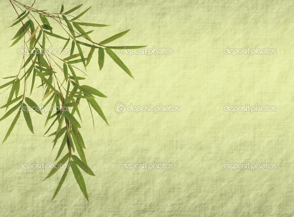 Standing Tall Against The Elements – A Chinese Bamboo Wallpaper