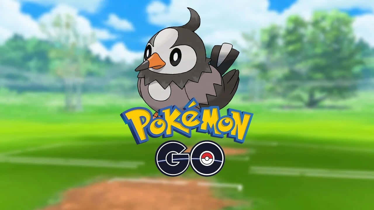 Starly In Pokemon Go Wallpaper