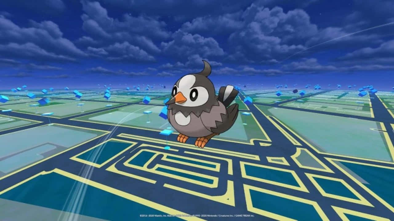 Starly On Pokemon Go Map Wallpaper