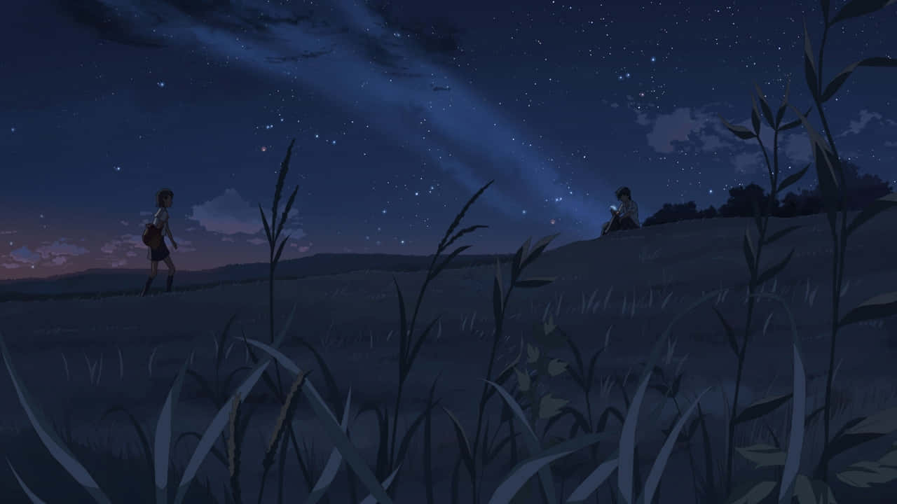 Starry Night Field Encounter Wallpaper