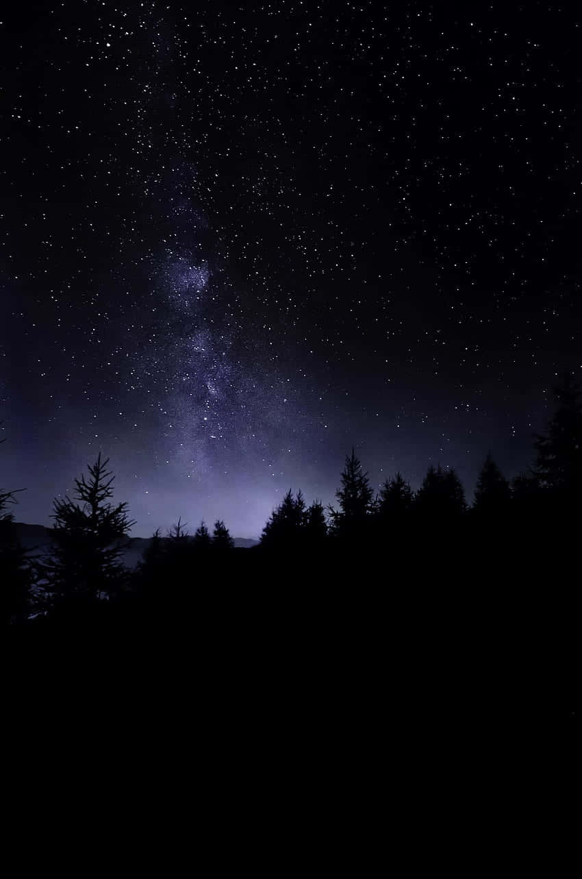 Starry Night Sky Over Forest Wallpaper