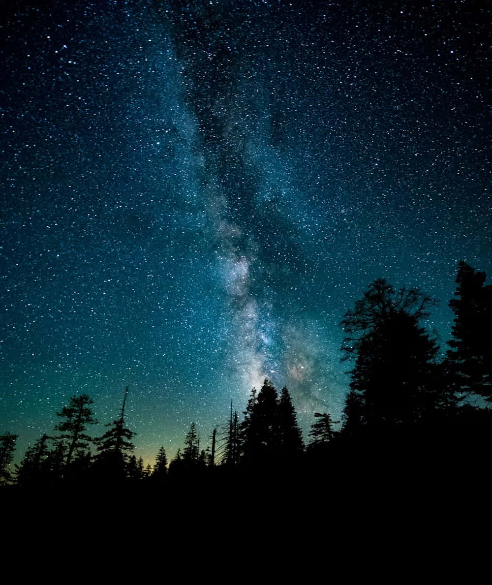 Starry Night Sky Over Forest.jpg Wallpaper