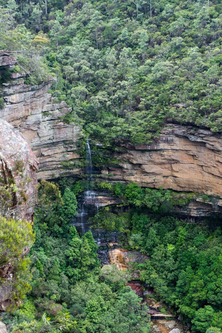 Stay Adventurous - Explore Blue Mountains National Park