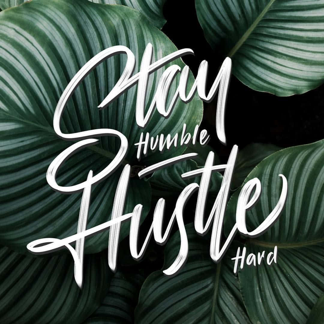 Stay Humble Phrase With Leaves Wallpaper