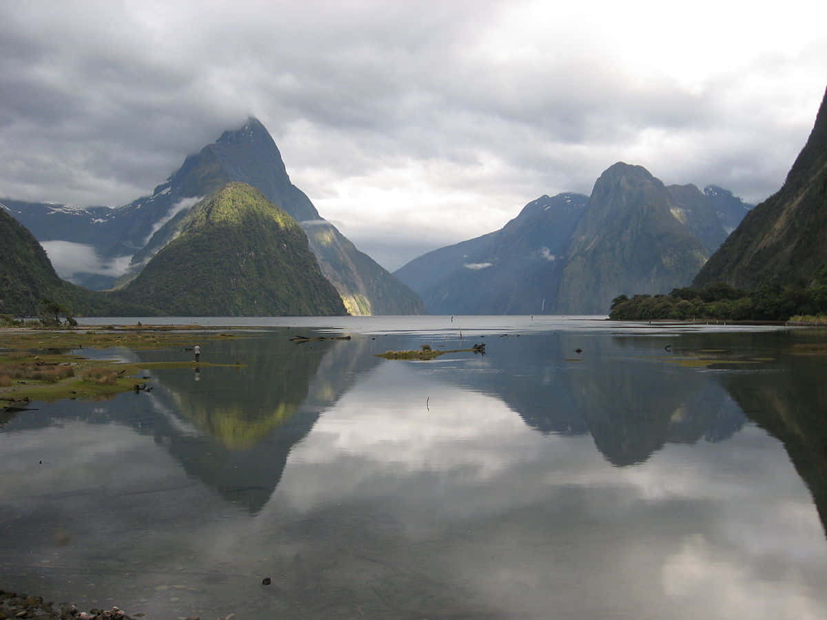 Steep Rock Milford Sound Wallpaper