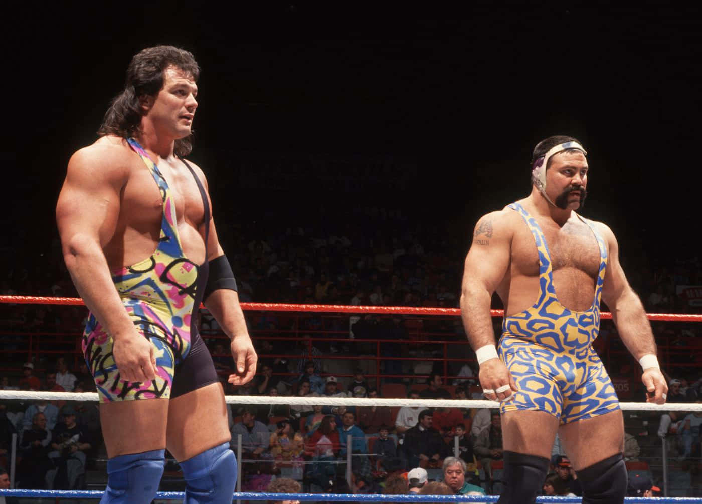 Steiner Brothers Tag Team Wrestlers Wallpaper