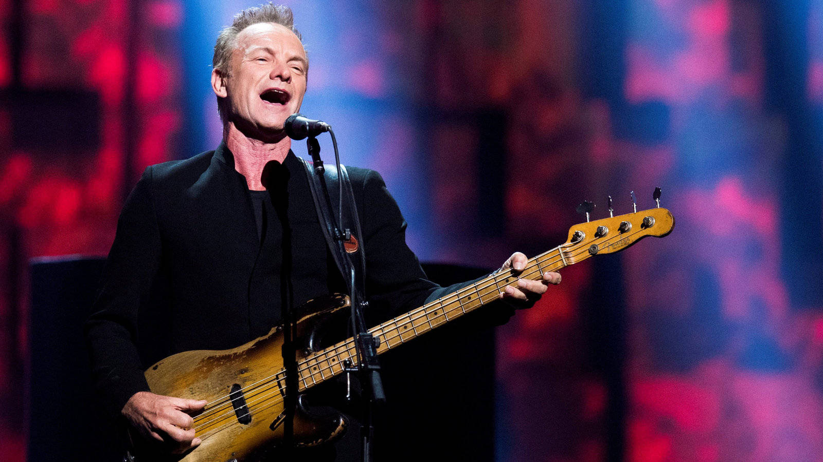 Sting English Musician Wallpaper