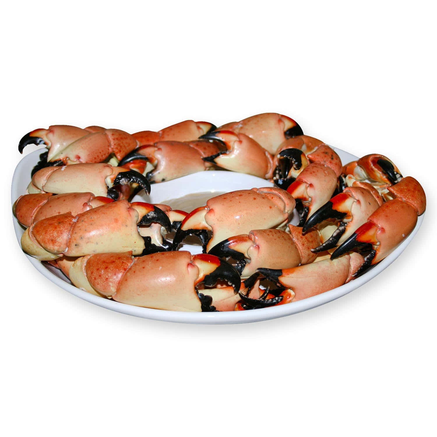 Stone Crab Claws Platter Wallpaper