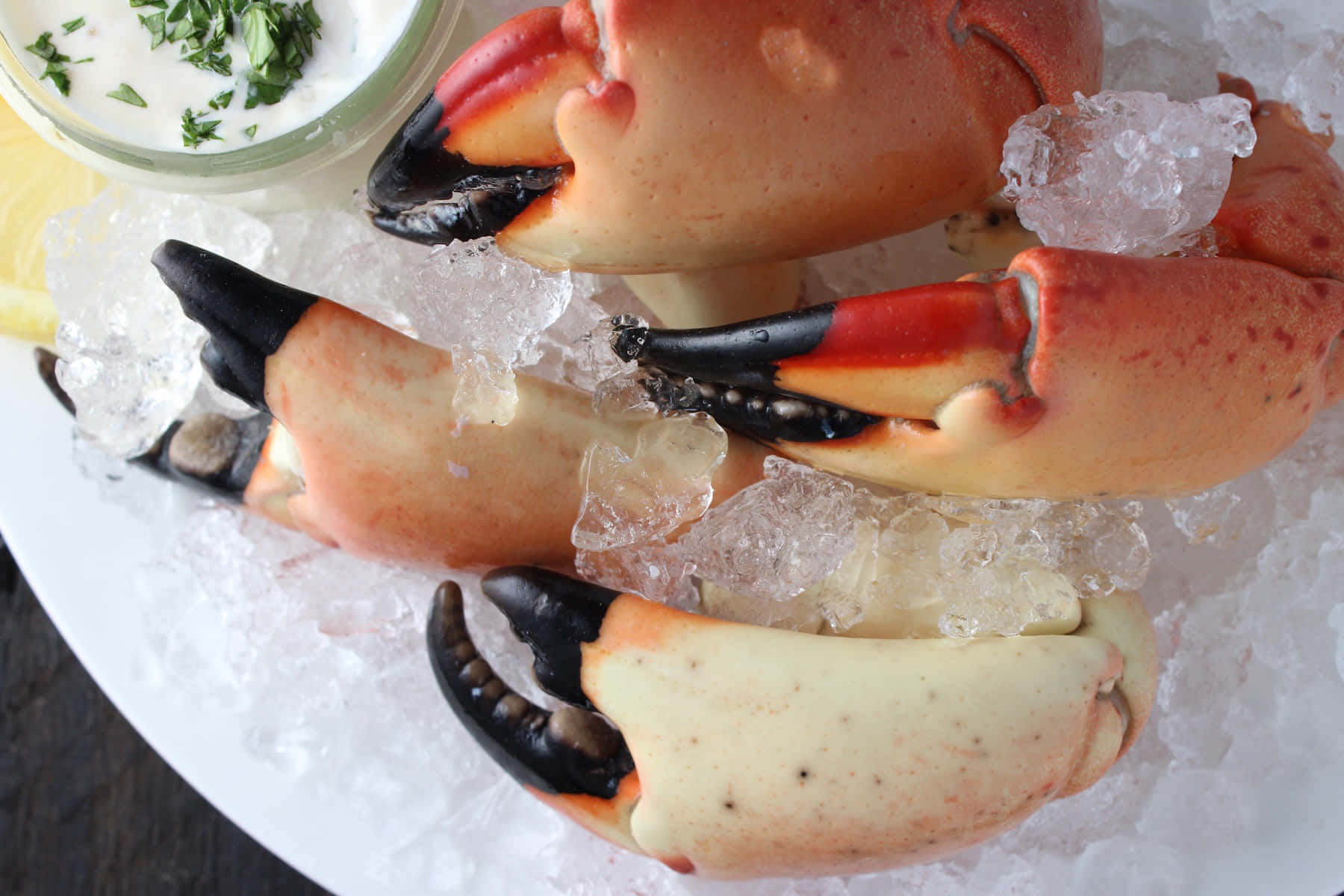 Stone Crab Clawson Ice Wallpaper