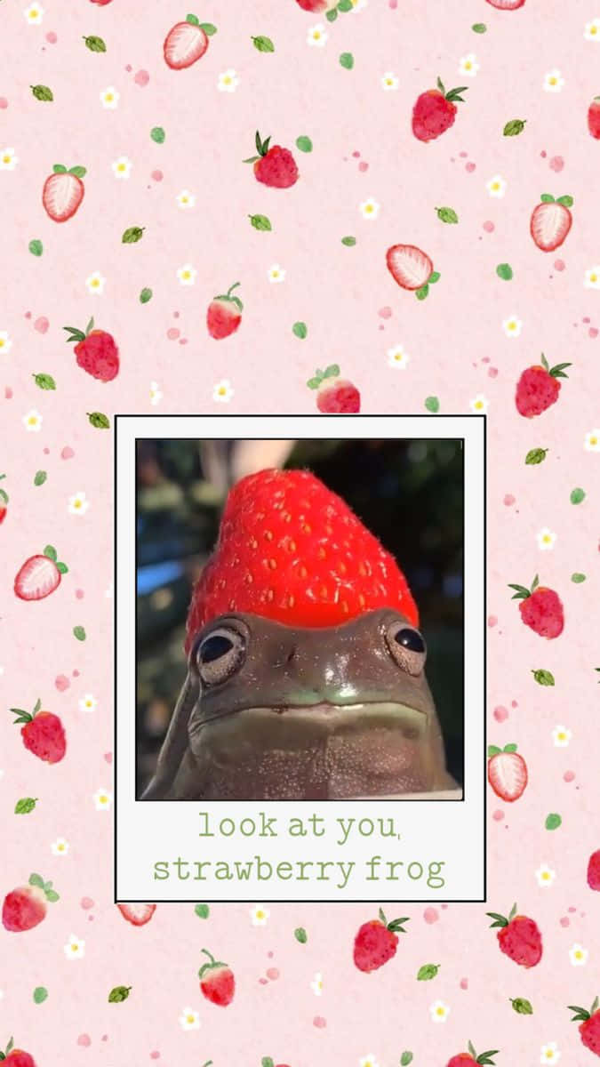 Strawberry Frog Cute Backdrop Wallpaper