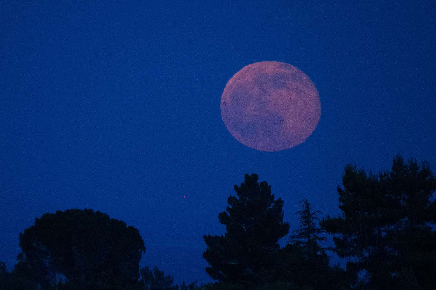 Strawberry Moon Night Sky Wallpaper