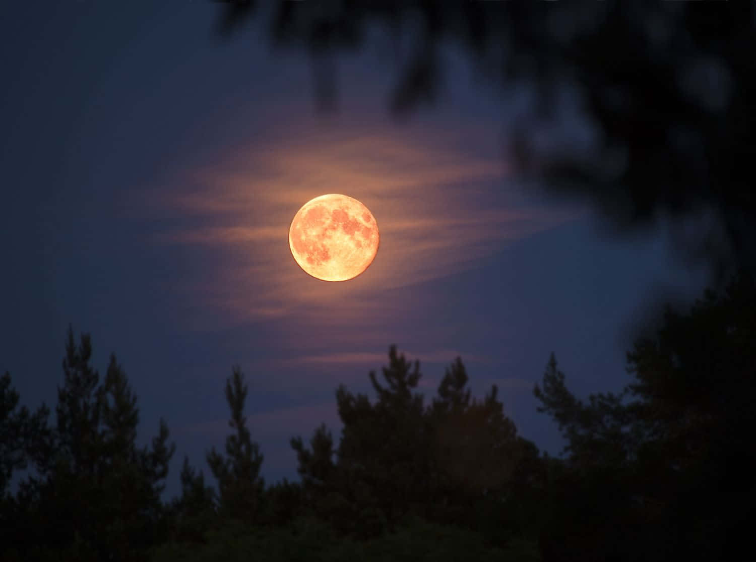 Strawberry Moon Night Sky Wallpaper