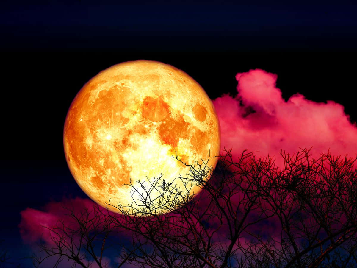 Strawberry Moon Night Sky Wallpaper