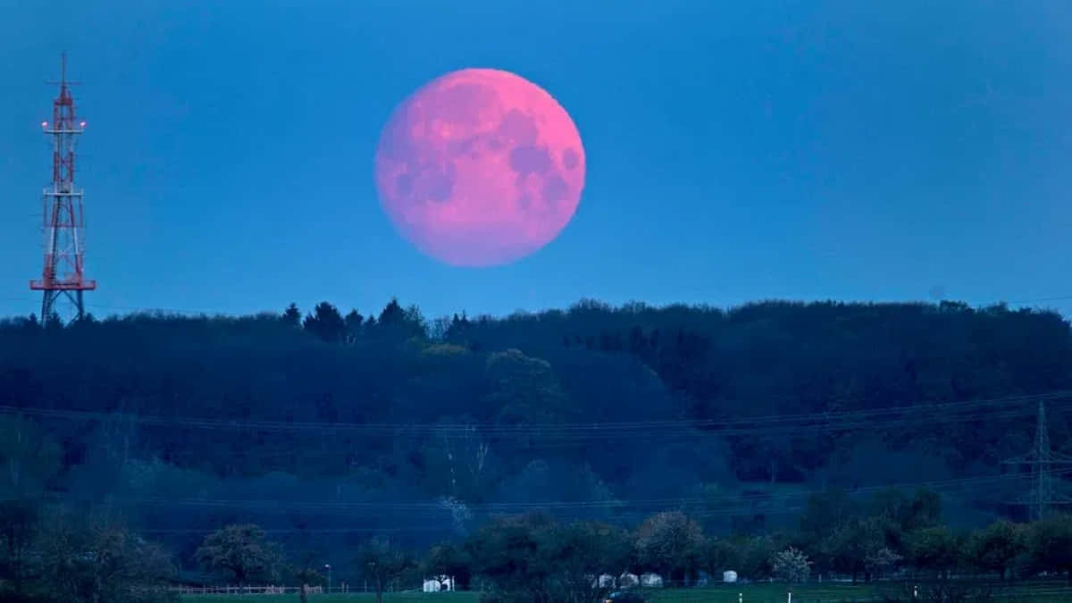 Strawberry Moon Over Horizon Wallpaper