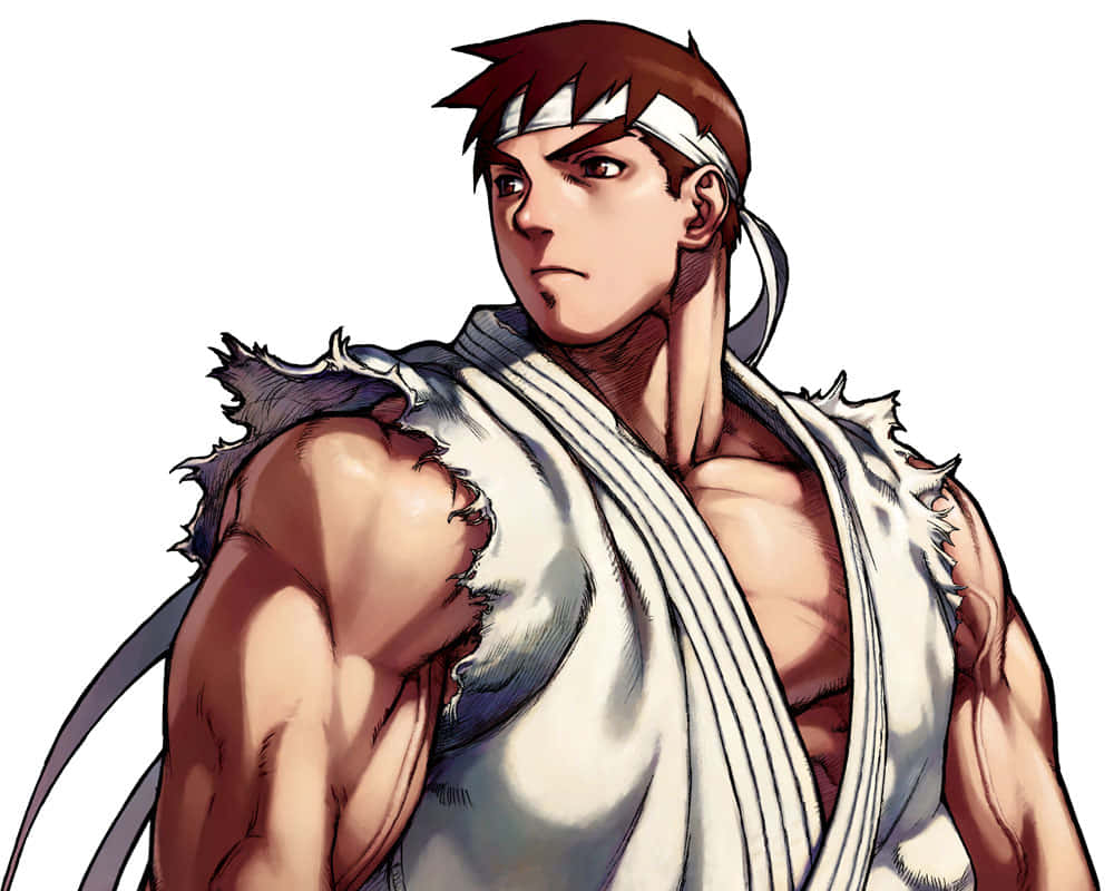 Street Fighter Alpha Character Portrait Wallpaper