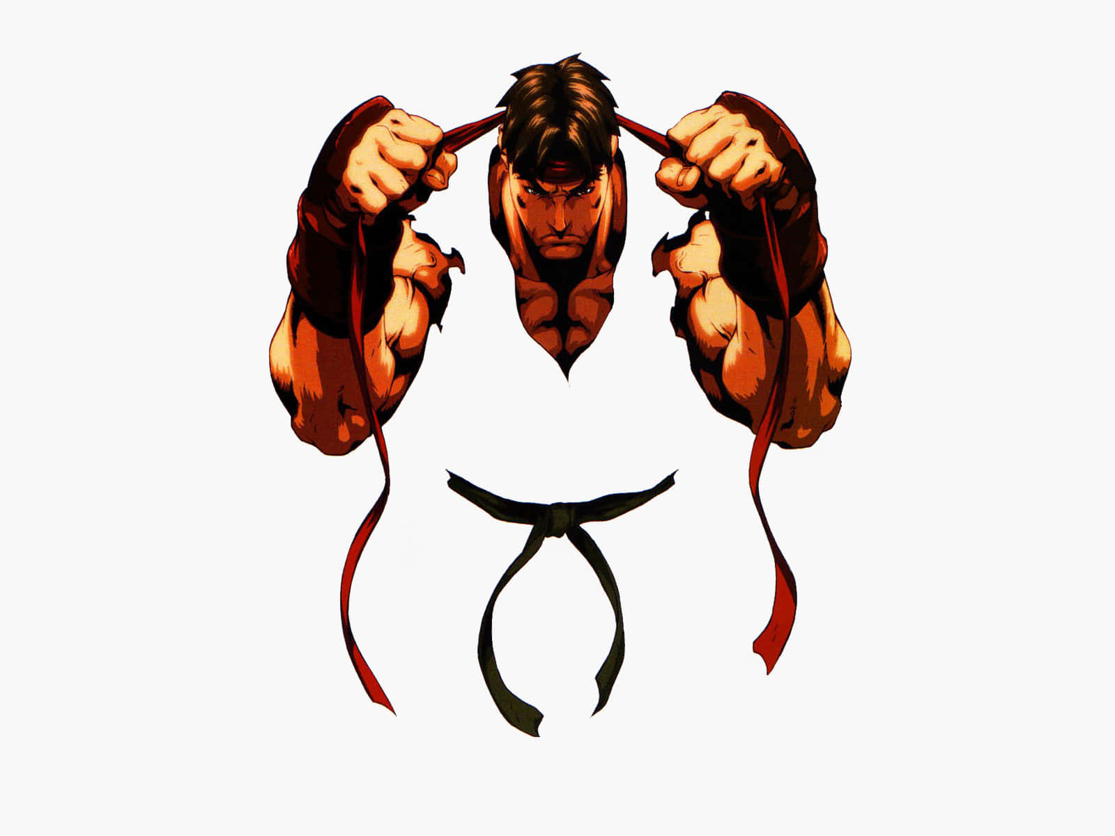 Street Fighter Ryu Readyfor Battle Wallpaper