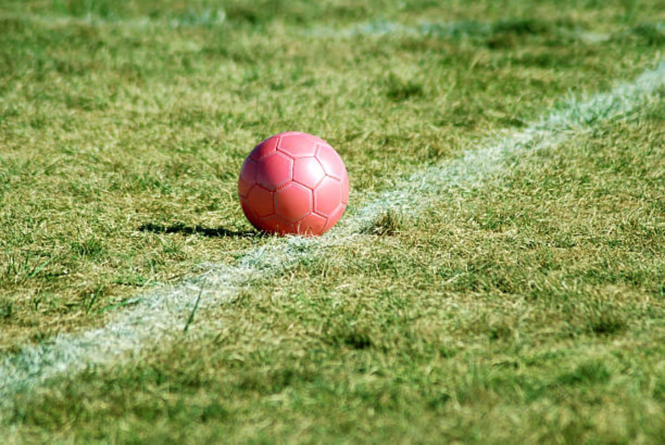 Striking Pink Soccer Ball On Grass Wallpaper