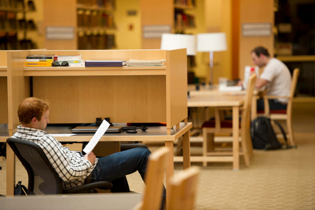 Studious In The Library Wallpaper