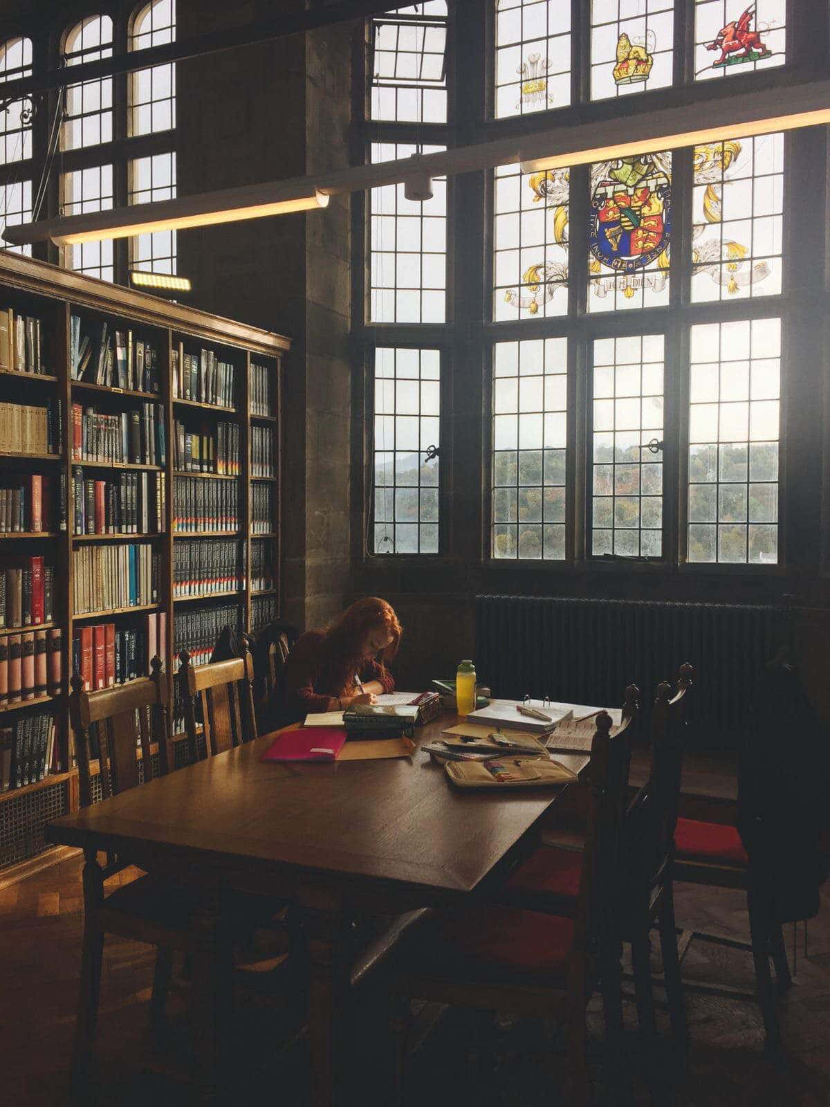 Studious Solitude In Library Wallpaper