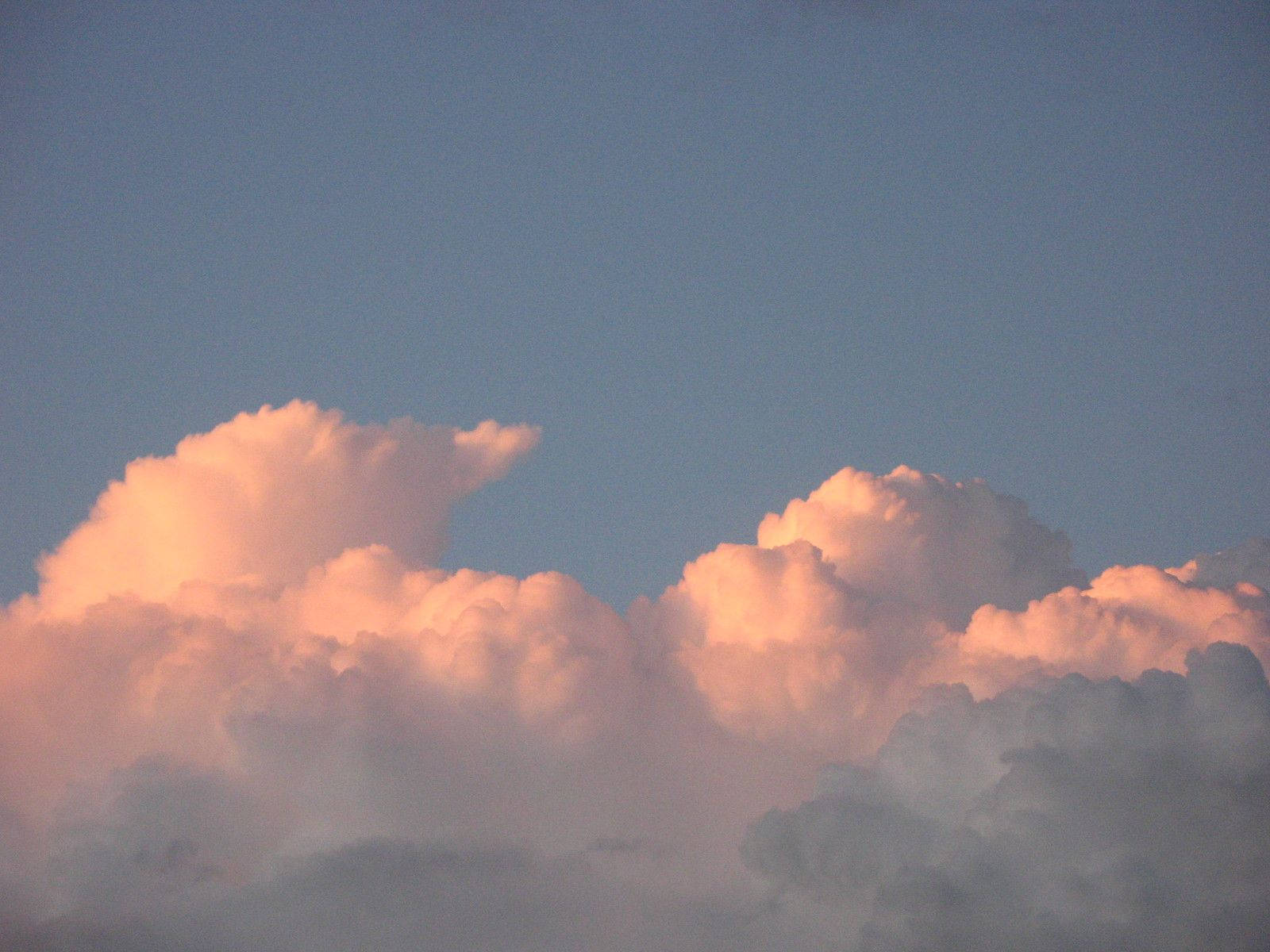 Stumpy Aesthetic Cloud Desktop Wallpaper