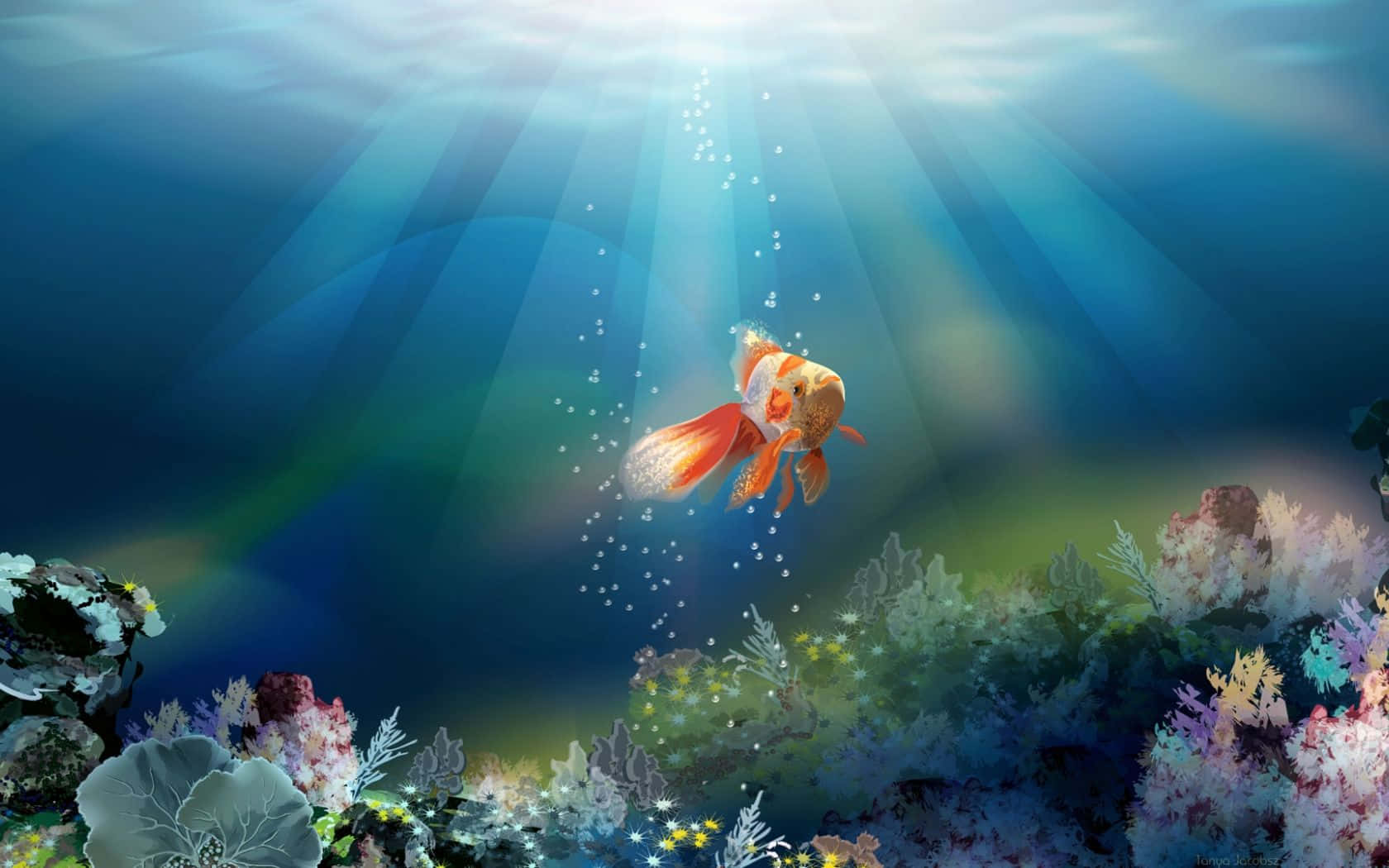 Stunning 3d Fish Wallpaper Wallpaper