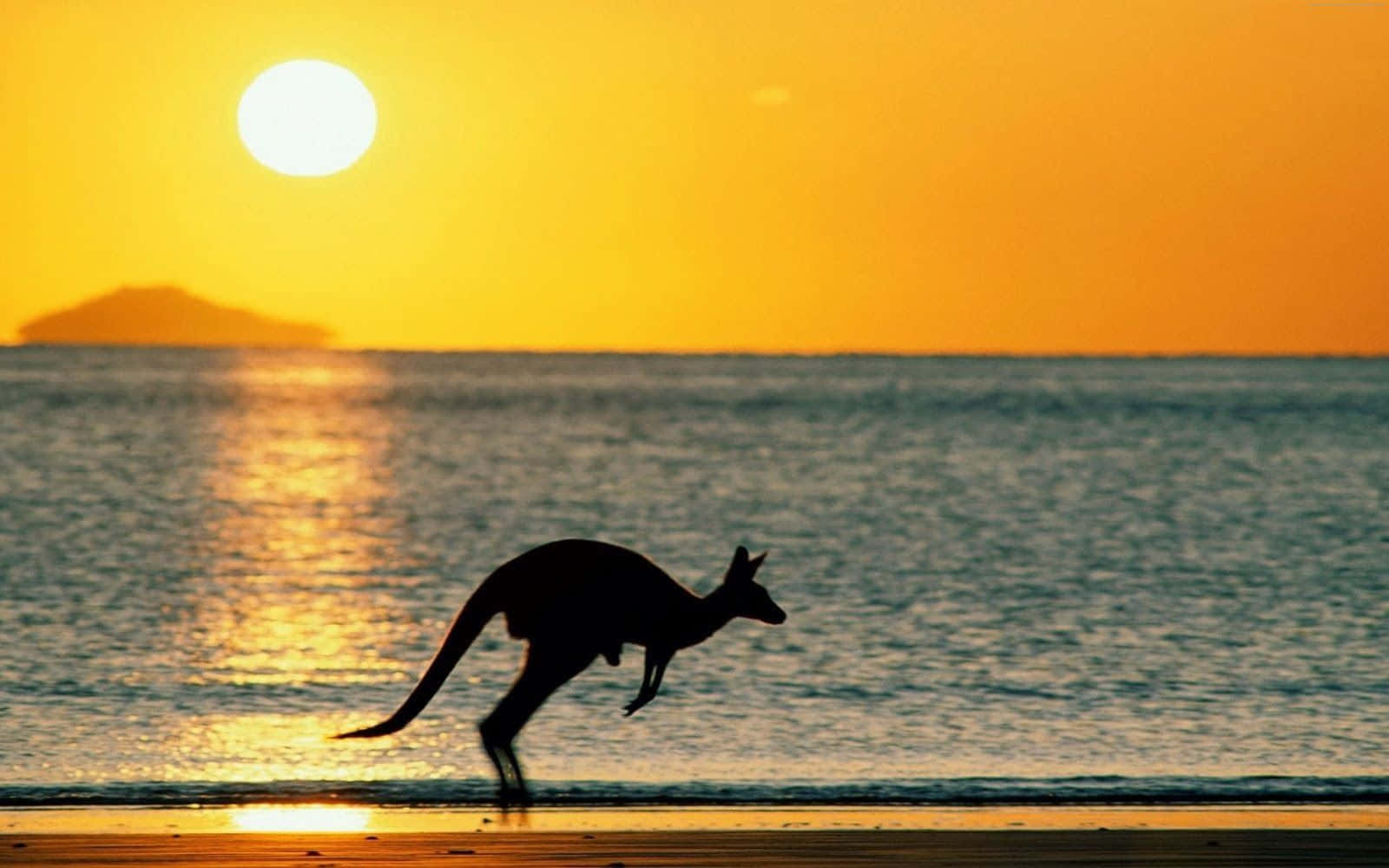 Stunning Australia Beach Marvel Wallpaper