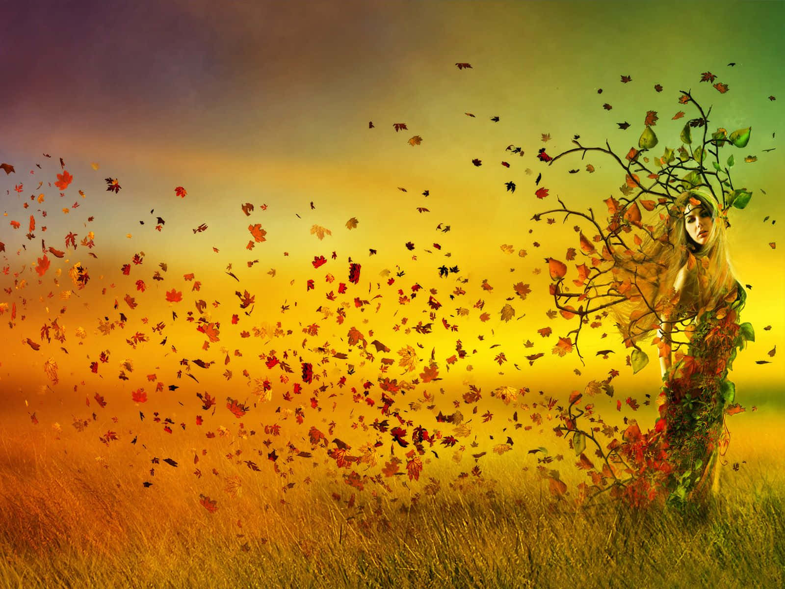 Stunning Autumnal Equinox Landscape Wallpaper