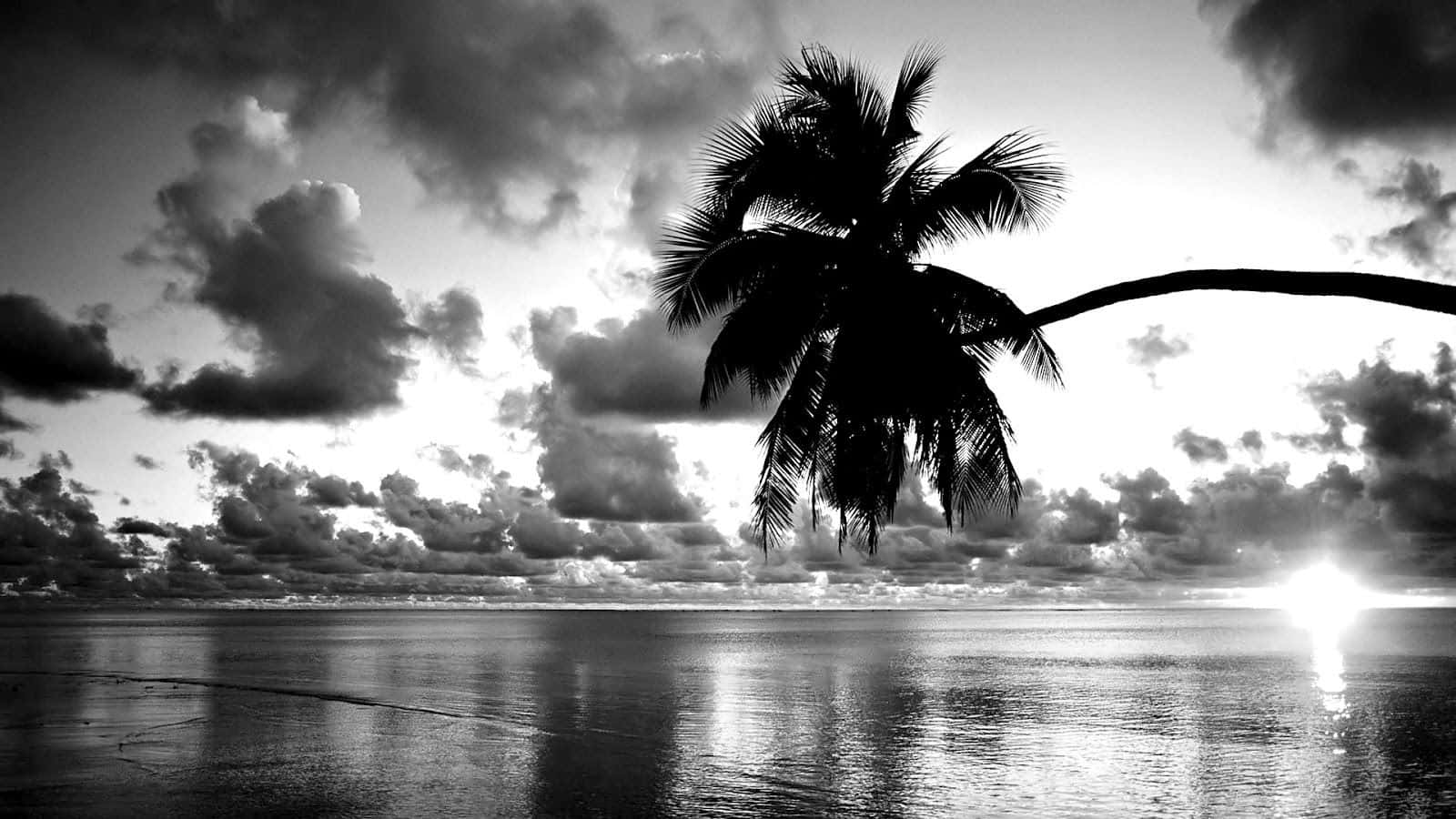 Stunning Black And White Beach Scenery Wallpaper