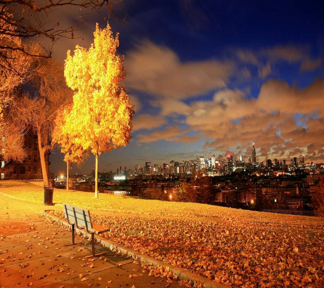 Stunning Fall City Panorama Wallpaper