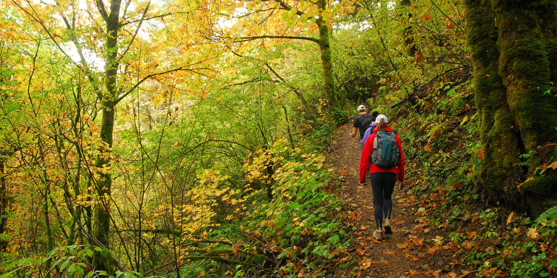 Stunning Fall Hike Scenery Wallpaper