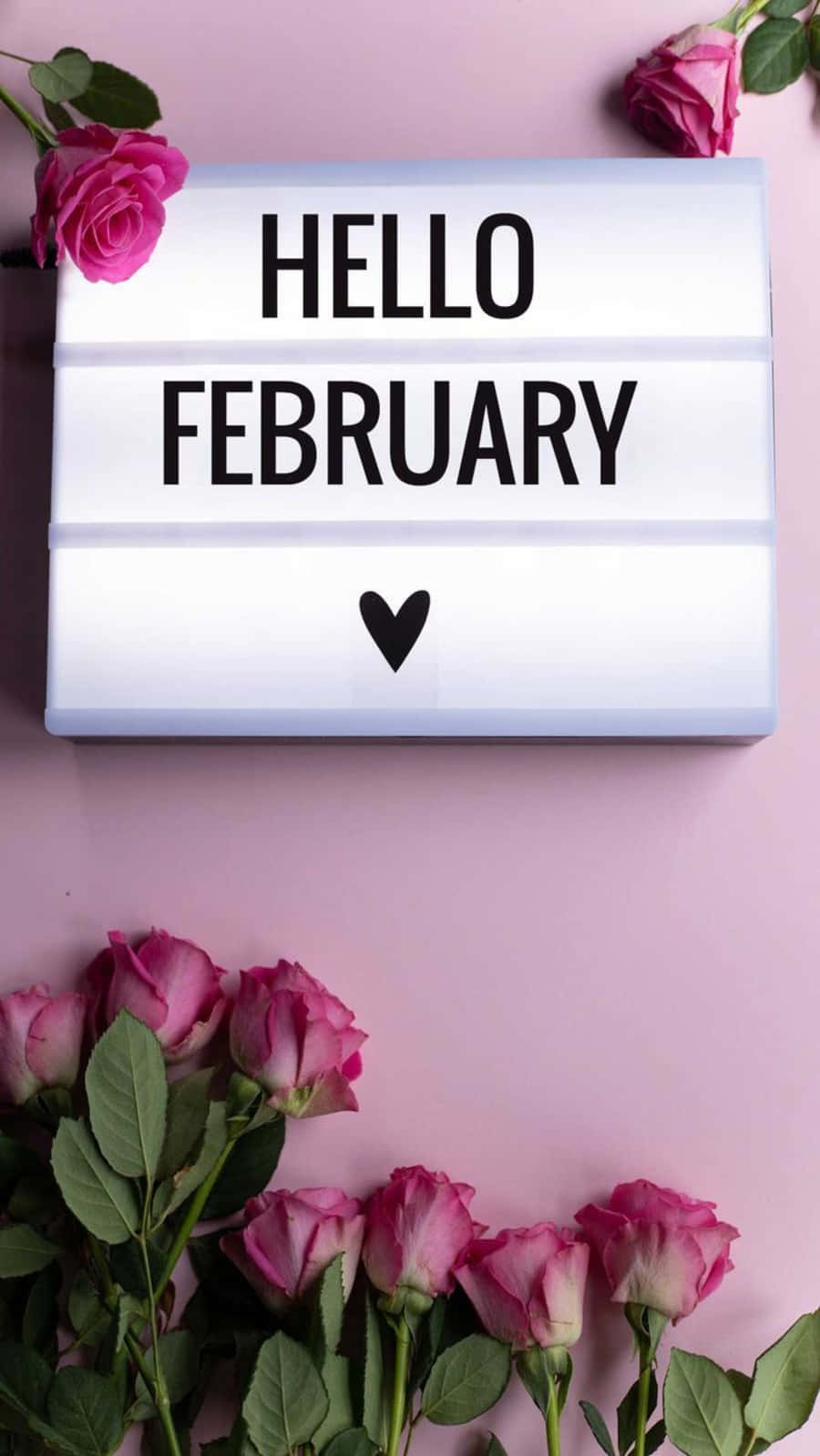 Stunning February Iphone Wallpaper Wallpaper