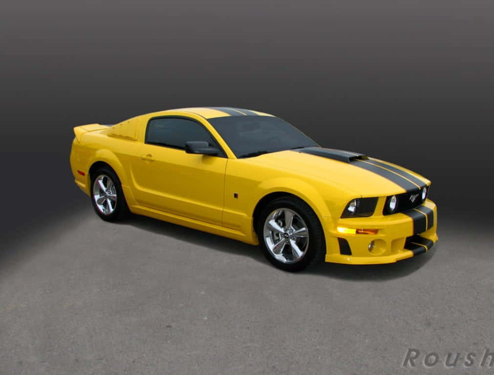 Stunning Ford Mustang Roush In Action Wallpaper