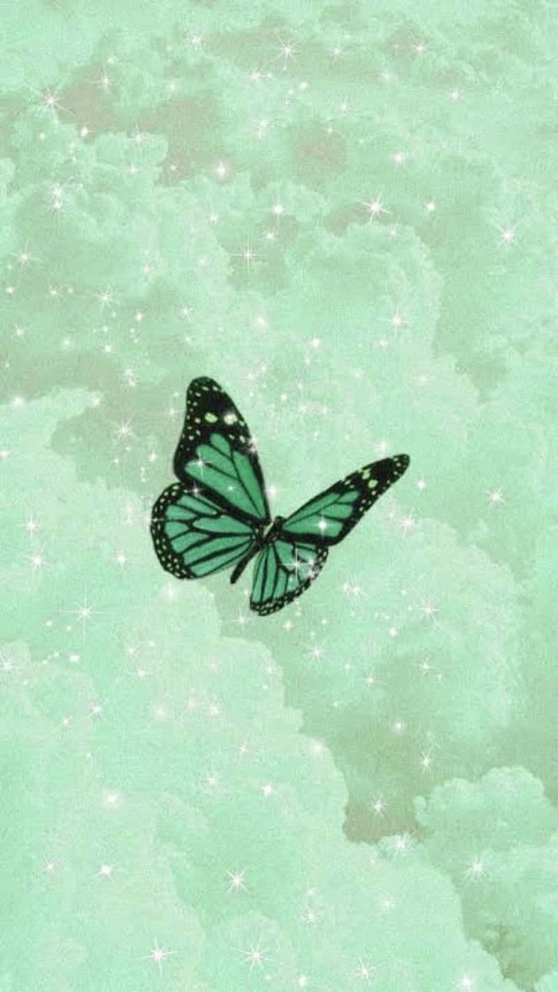 Stunning Green Butterfly Against Blue Background Wallpaper